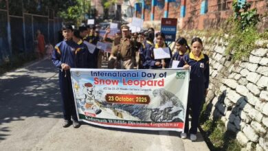 अंतर्राष्ट्रीय हिम तेंदुआ दिवस पर जन जागरूकता रैली आयोजित अंतर्राष्ट्रीय हिम तेंदुआ दिवस पर जन जागरूकता रैली आयोजित