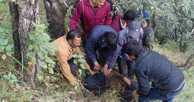 भालू के हमले से घायल महिला जंगल में मिली, बीते रोज से थी लापता