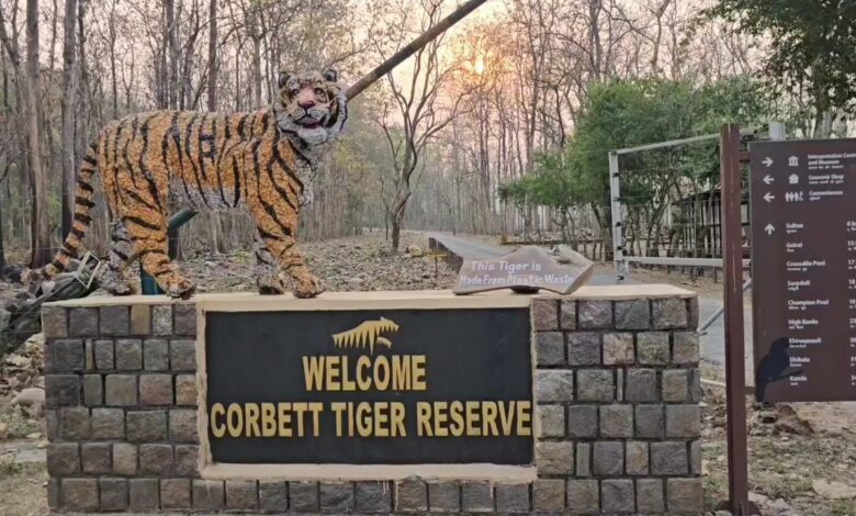 कॉर्बेट और राजाजी में एलिफेंट सफारी को मंजूरी कॉर्बेट और राजाजी में एलिफेंट सफारी को मंजूरी