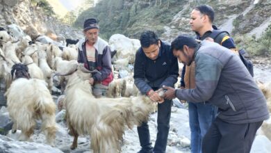भेड़ बकरी पालकों के प्रवर्जन मार्गों पर विभिन्न कार्यक्रमों का आयोजन