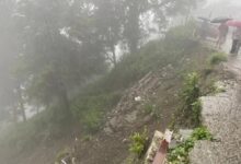नैनीताल में 119 मिमी बारिश, 81.3 फीट पहुंचा झील का जलस्तर
